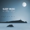 Relaxation Music for Qi Gong - Sleep Music Lullabies lyrics