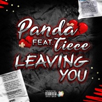 Leaving You (feat. Teice) - Single - Sweetie ItsPanda