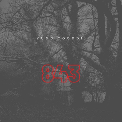 Cant Ignore - Single