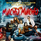 Mucho, Mucho (feat. El Kimiko y Yordy) artwork