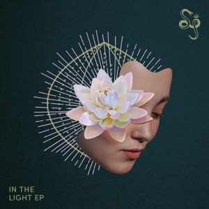 In the Light - Single