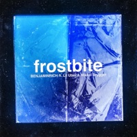 Frostbite (feat. Lil Uber & Mikkel Brygger) - Single - BENJAMINRICH