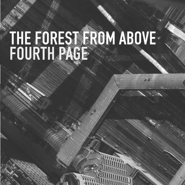 The Forest from Above