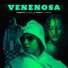 Venenosa (feat. Mediterraneo & El Terror) - Single