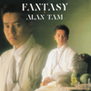 Fantasy - Alan Tam