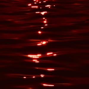 Succotash - Single
