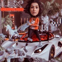 Checkered Roses - Lex Andretti