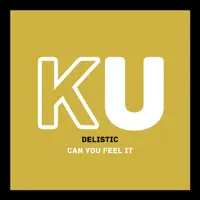 Can You Feel It — Delistic
