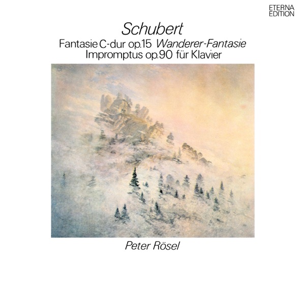Schubert: "Wnderer-Fantasie" Klavierwerke