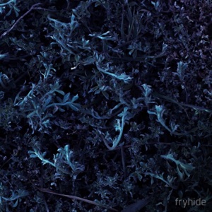 Once I Saw the Sky - Single
