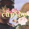 Cupido - Svmoel lyrics