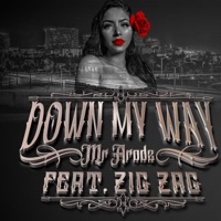Down My Way (feat. Zig Zag) - Single - Mr Arodz