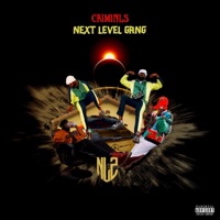 Next level gang - Single - Criminls