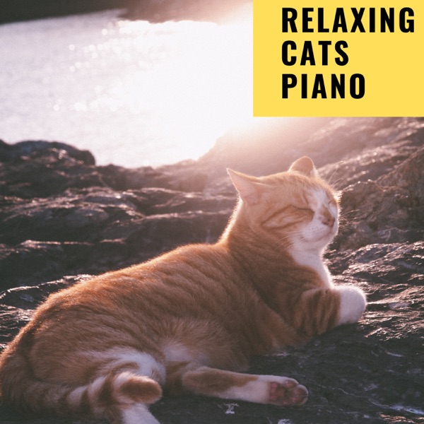 Relaxing Cats Piano