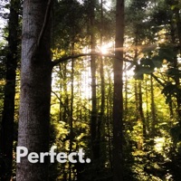 Perfect. - Single - Van Leeuwen