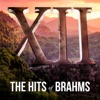 XII, The Hits of Brahms artwork