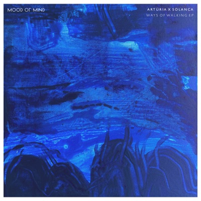 Ways of Walking - Single
