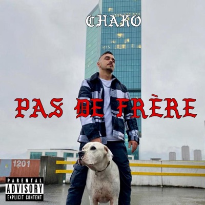 Pas de Frère - Single