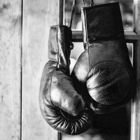 Champion - Single - Solesky