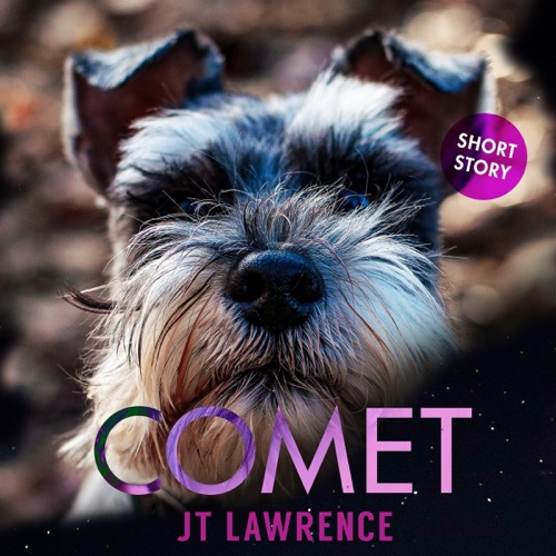 Comet (Unabridged) cover