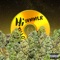 Dog Whistle (feat. Estevan, The God) - Hi Yello lyrics