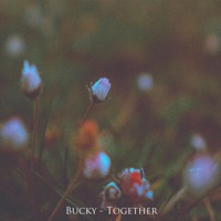 Together - Single - Bucky