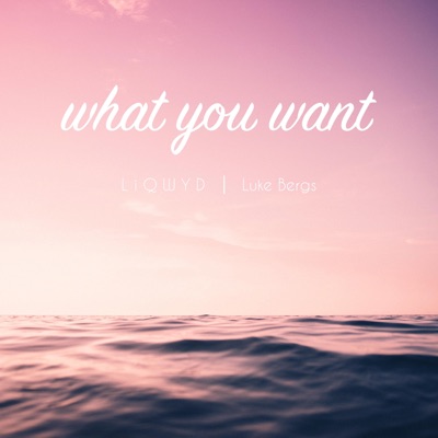 What You Want - Single