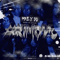 Kimode - Single - Mally Bo