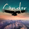 Condor (feat. Cultivando Raices) - Single