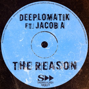 The Reason - Single
