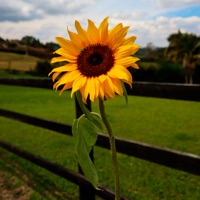 Eres - Single - Rkapo