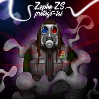 Protège-toi - Single - Zepho Z.S