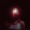 Darkroom - Single
