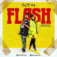 Flash - Single - NT4