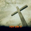 Voy Sin Ti - Single