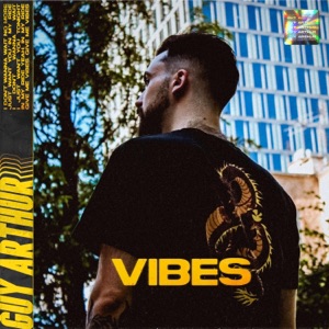 Vibes - Single