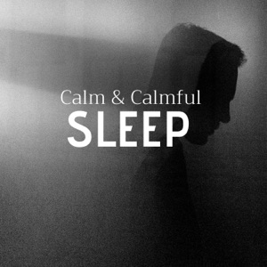 Calm & Calmful Sleep - Best Songs for Sleeping at Night