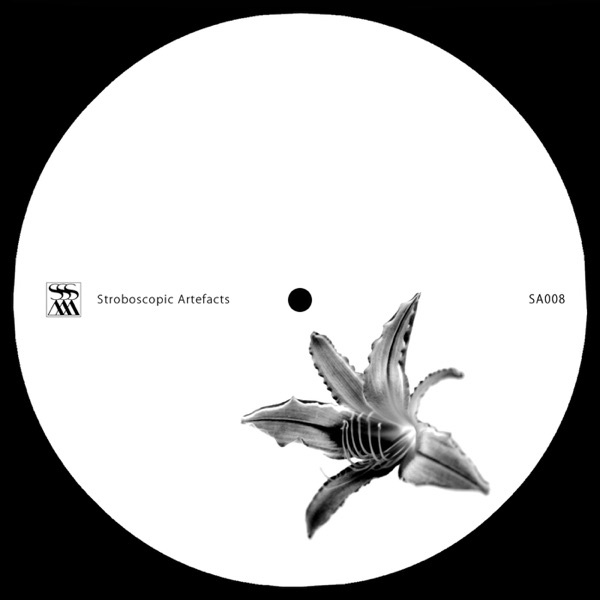 Beelines for Working Bees - EP