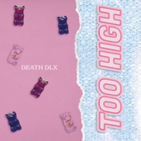 TOO HIGH (feat. deathirl, TOTALFUCKINGBLISS & goobwashere) - Single - DEATH DLX