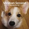 Viridian Second