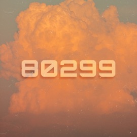 80299 (Extended Version) RiVa & Co.