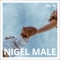 Laya - Nigel Male lyrics