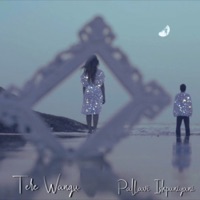Tere Wangu - Single - Pallavi Ishpuniyani