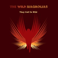 They Call Us Wild - The Wild Magnolias