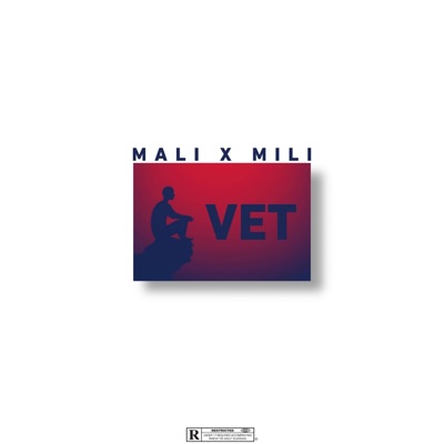 VET (feat. MALI06) - Single