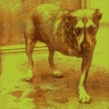 Sludge Factory cover art