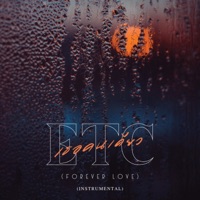 เธอคนเดียว (Forever Love) (Instrumental) - Single - Etc.