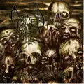Masturbating The Moribund