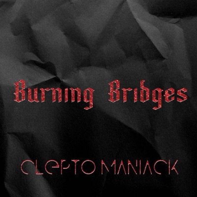 Burning Bridges - Single