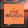 The Words (feat. Jethro Tait) [Extended Version] cover art